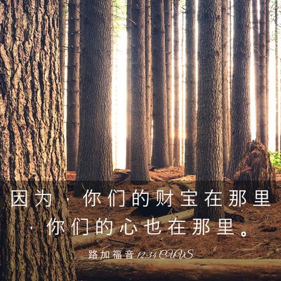 Picture 03 - 路 加 福 音 12:34 CUVS - 因 为 ， 你 们 的 财 宝 在 那 里 ， - Bible Verse Picture