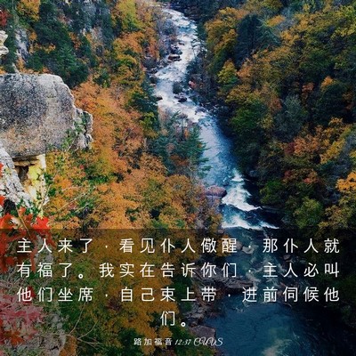 Picture 03 - 路 加 福 音 12:37 CUVS - 主 人 来 了 ， 看 见 仆 人 儆 醒 ， - Bible Verse Picture