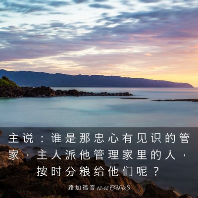 Picture 03 - 路 加 福 音 12:42 CUVS - 主 说 ： 谁 是 那 忠 心 有 见 识 的 - Bible Verse Picture