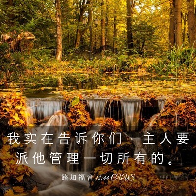 Picture 03 - 路 加 福 音 12:44 CUVS - 我 实 在 告 诉 你 们 ， 主 人 要 派 - Bible Verse Picture