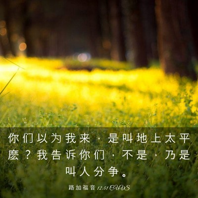 Picture 03 - 路 加 福 音 12:51 CUVS - 你 们 以 为 我 来 ， 是 叫 地 上 太 - Bible Verse Picture