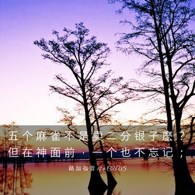 Picture 03 - 路 加 福 音 12:6 CUVS - 五 个 麻 雀 不 是 卖 二 分 银 子 麽 - Bible Verse Picture