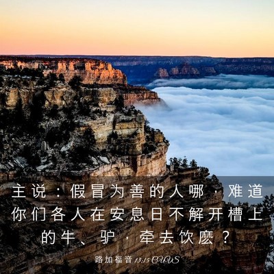 Picture 03 - 路 加 福 音 13:15 CUVS - 主 说 ： 假 冒 为 善 的 人 哪 ， 难 - Bible Verse Picture