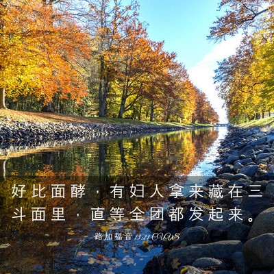 Picture 03 - 路 加 福 音 13:21 CUVS - 好 比 面 酵 ， 有 妇 人 拿 来 藏 在 - Bible Verse Picture