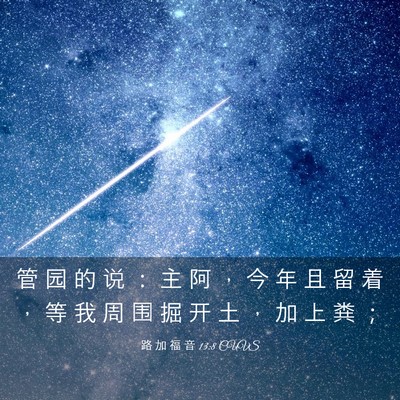 Picture 03 - 路 加 福 音 13:8 CUVS - 管 园 的 说 ： 主 阿 ， 今 年 且 留 - Bible Verse Picture