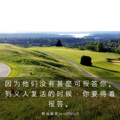 Picture 03 - 路 加 福 音 14:14 CUVS - 因 为 他 们 没 有 甚 麽 可 报 答 你 - Bible Verse Picture