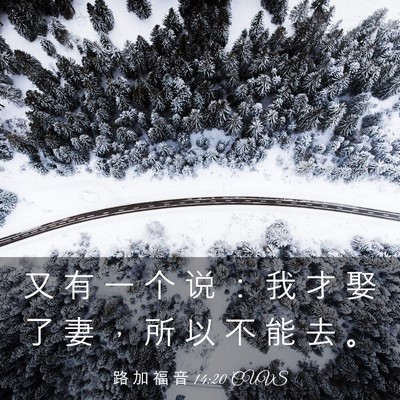 Picture 03 - 路 加 福 音 14:20 CUVS - 又 有 一 个 说 ： 我 才 娶 了 妻 ， - Bible Verse Picture