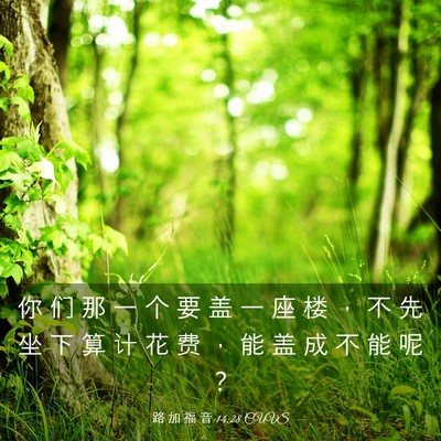 Picture 03 - 路 加 福 音 14:28 CUVS - 你 们 那 一 个 要 盖 一 座 楼 ， 不 - Bible Verse Picture