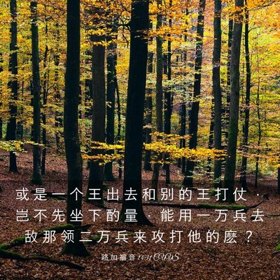 Picture 03 - 路 加 福 音 14:31 CUVS - 或 是 一 个 王 出 去 和 别 的 王 打 - Bible Verse Picture