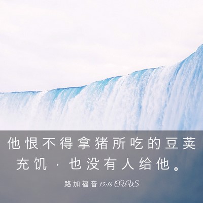 Picture 03 - 路 加 福 音 15:16 CUVS - 他 恨 不 得 拿 猪 所 吃 的 豆 荚 充 - Bible Verse Picture