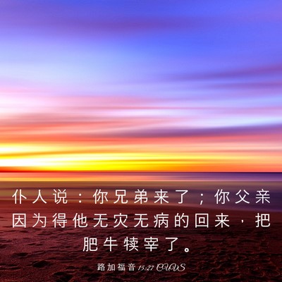 Picture 03 - 路 加 福 音 15:27 CUVS - 仆 人 说 ： 你 兄 弟 来 了 ； 你 父 - Bible Verse Picture