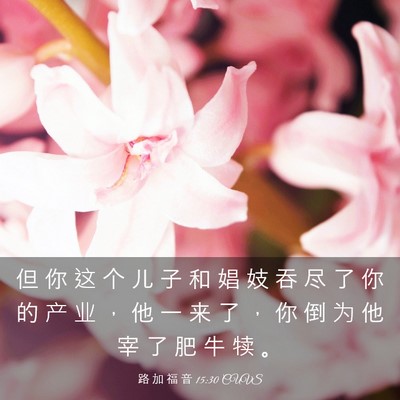 Picture 03 - 路 加 福 音 15:30 CUVS - 但 你 这 个 儿 子 和 娼 妓 吞 尽 了 - Bible Verse Picture