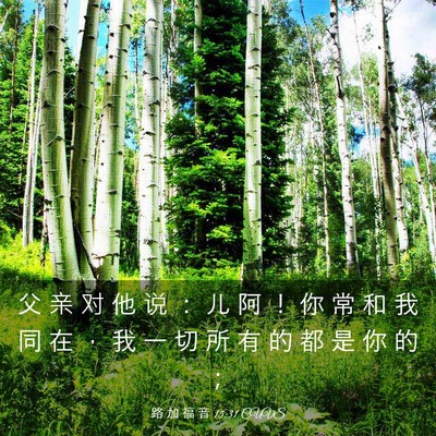 Picture 03 - 路 加 福 音 15:31 CUVS - 父 亲 对 他 说 ： 儿 阿 ！ 你 常 和 - Bible Verse Picture