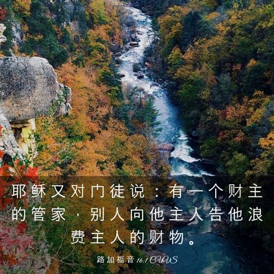 Picture 03 - 路 加 福 音 16:1 CUVS - 耶 稣 又 对 门 徒 说 ： 有 一 个 财 - Bible Verse Picture