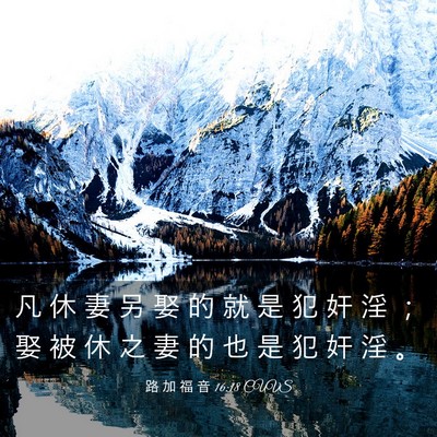 Picture 03 - 路 加 福 音 16:18 CUVS - 凡 休 妻 另 娶 的 就 是 犯 奸 淫 ； - Bible Verse Picture