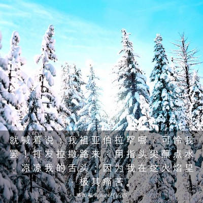 Picture 03 - 路 加 福 音 16:24 CUVS - 就 喊 着 说 ： 我 祖 亚 伯 拉 罕 哪 - Bible Verse Picture