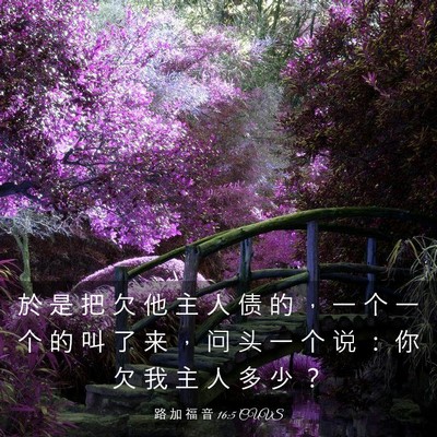 Picture 03 - 路 加 福 音 16:5 CUVS - 於 是 把 欠 他 主 人 债 的 ， 一 个 - Bible Verse Picture