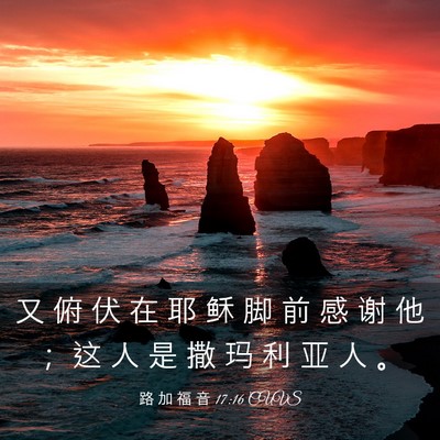Picture 03 - 路 加 福 音 17:16 CUVS - 又 俯 伏 在 耶 稣 脚 前 感 谢 他 ； - Bible Verse Picture