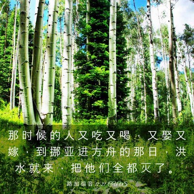 Picture 03 - 路 加 福 音 17:27 CUVS - 那 时 候 的 人 又 吃 又 喝 ， 又 娶 - Bible Verse Picture