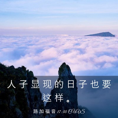 Picture 03 - 路 加 福 音 17:30 CUVS - 人 子 显 现 的 日 子 也 要 这 样 - Bible Verse Picture