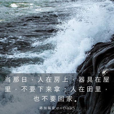Picture 03 - 路 加 福 音 17:31 CUVS - 当 那 日 ， 人 在 房 上 ， 器 具 在 - Bible Verse Picture