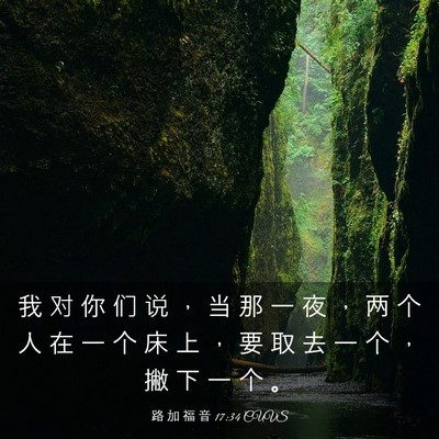 Picture 03 - 路 加 福 音 17:34 CUVS - 我 对 你 们 说 ， 当 那 一 夜 ， 两 - Bible Verse Picture