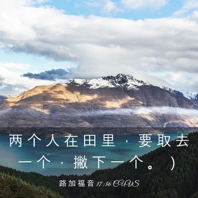 Picture 03 - 路 加 福 音 17:36 CUVS - 两 个 人 在 田 里 ， 要 取 去 一 个 - Bible Verse Picture