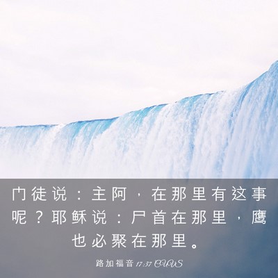 Picture 03 - 路 加 福 音 17:37 CUVS - 门 徒 说 ： 主 阿 ， 在 那 里 有 这 - Bible Verse Picture