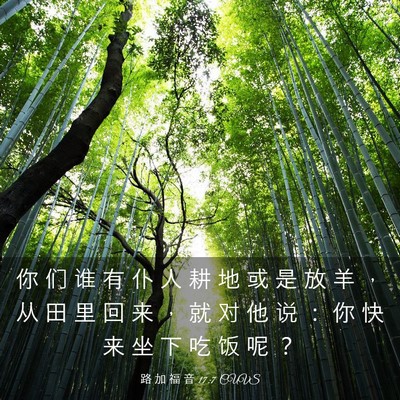 Picture 03 - 路 加 福 音 17:7 CUVS - 你 们 谁 有 仆 人 耕 地 或 是 放 羊 - Bible Verse Picture