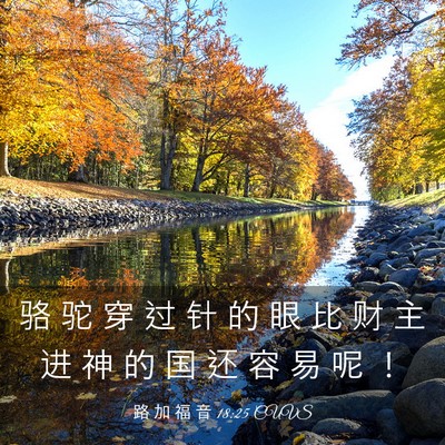 Picture 03 - 路 加 福 音 18:25 CUVS - 骆 驼 穿 过 针 的 眼 比 财 主 进 神 - Bible Verse Picture