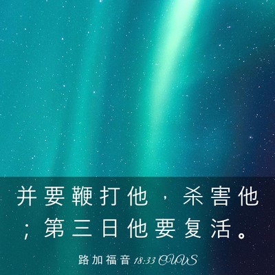 Picture 03 - 路 加 福 音 18:33 CUVS - 并 要 鞭 打 他 ， 杀 害 他 ； 第 三 - Bible Verse Picture