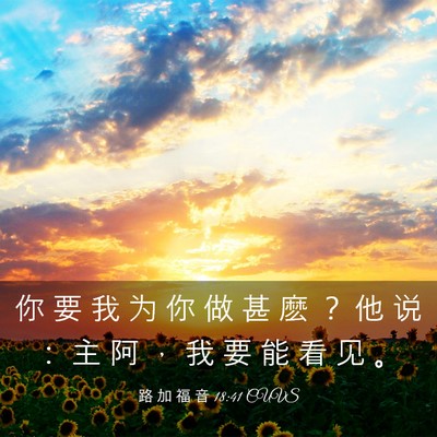 Picture 03 - 路 加 福 音 18:41 CUVS - 你 要 我 为 你 做 甚 麽 ？ 他 说 ： - Bible Verse Picture