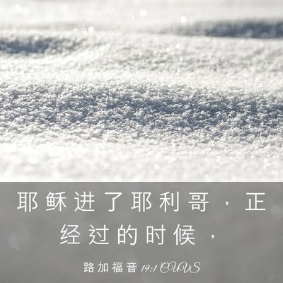 Picture 03 - 路 加 福 音 19:1 CUVS - 耶 稣 进 了 耶 利 哥 ， 正 经 过 的 - Bible Verse Picture