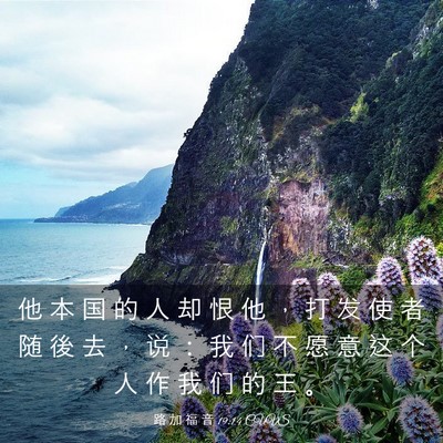 Picture 03 - 路 加 福 音 19:14 CUVS - 他 本 国 的 人 却 恨 他 ， 打 发 使 - Bible Verse Picture