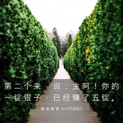 Picture 03 - 路 加 福 音 19:18 CUVS - 第 二 个 来 ， 说 ： 主 阿 ！ 你 的 - Bible Verse Picture