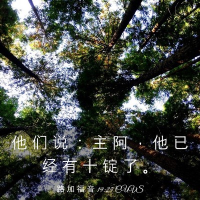 Picture 03 - 路 加 福 音 19:25 CUVS - 他 们 说 ： 主 阿 ， 他 已 经 有 十 - Bible Verse Picture