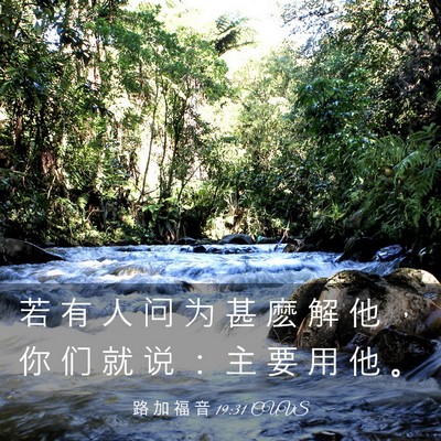 Picture 03 - 路 加 福 音 19:31 CUVS - 若 有 人 问 为 甚 麽 解 他 ， 你 们 - Bible Verse Picture