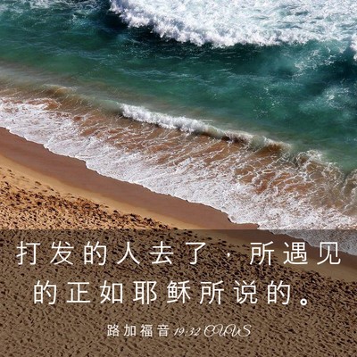 Picture 03 - 路 加 福 音 19:32 CUVS - 打 发 的 人 去 了 ， 所 遇 见 的 正 - Bible Verse Picture
