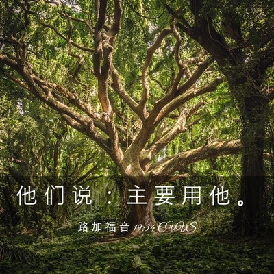 Picture 03 - 路 加 福 音 19:34 CUVS - 他 们 说 ： 主 要 用 他 - Bible Verse Picture