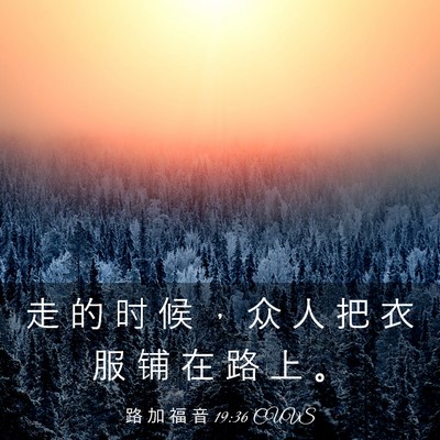 Picture 03 - 路 加 福 音 19:36 CUVS - 走 的 时 候 ， 众 人 把 衣 服 铺 在 - Bible Verse Picture