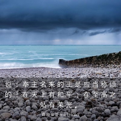 Picture 03 - 路 加 福 音 19:38 CUVS - 说 ： 奉 主 名 来 的 王 是 应 当 称 - Bible Verse Picture