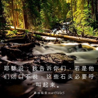 Picture 03 - 路 加 福 音 19:40 CUVS - 耶 稣 说 ： 我 告 诉 你 们 ， 若 是 - Bible Verse Picture