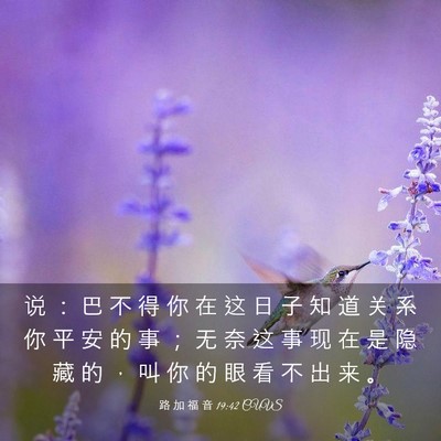 Picture 03 - 路 加 福 音 19:42 CUVS - 说 ： 巴 不 得 你 在 这 日 子 知 道 - Bible Verse Picture