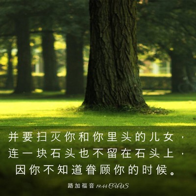 Picture 03 - 路 加 福 音 19:44 CUVS - 并 要 扫 灭 你 和 你 里 头 的 儿 女 - Bible Verse Picture
