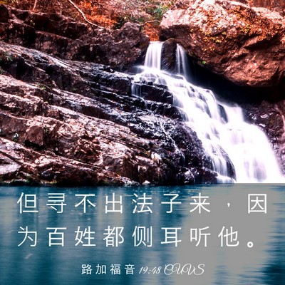 Picture 03 - 路 加 福 音 19:48 CUVS - 但 寻 不 出 法 子 来 ， 因 为 百 姓 - Bible Verse Picture