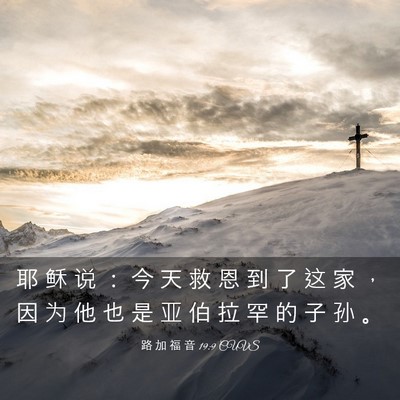 Picture 03 - 路 加 福 音 19:9 CUVS - 耶 稣 说 ： 今 天 救 恩 到 了 这 家 - Bible Verse Picture