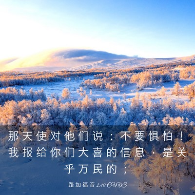 Picture 03 - 路 加 福 音 2:10 CUVS - 那 天 使 对 他 们 说 ： 不 要 惧 怕 - Bible Verse Picture