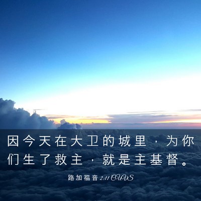 Picture 03 - 路 加 福 音 2:11 CUVS - 因 今 天 在 大 卫 的 城 里 ， 为 你 - Bible Verse Picture