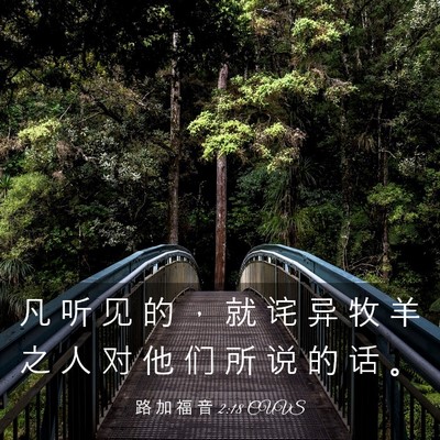 Picture 03 - 路 加 福 音 2:18 CUVS - 凡 听 见 的 ， 就 诧 异 牧 羊 之 人 - Bible Verse Picture