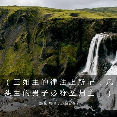 Picture 03 - 路 加 福 音 2:23 CUVS - （ 正 如 主 的 律 法 上 所 记 ： 凡 - Bible Verse Picture